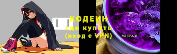 ПСИЛОЦИБИНОВЫЕ ГРИБЫ Абаза