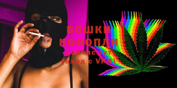 ПСИЛОЦИБИНОВЫЕ ГРИБЫ Абаза