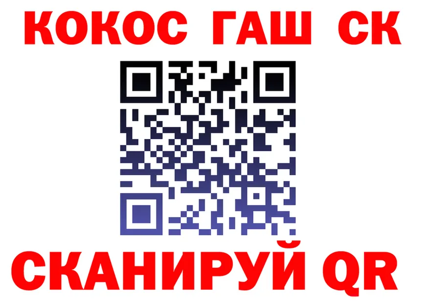 МЯУ-МЯУ VHQ зеркало это блэк спрут Иланский